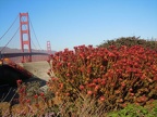 DSCN7516 (3894 visits) DSCN7516