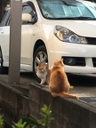 IMG 3252 (4622 visits) IMG 3252
