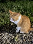 IMG 0190 (5935 visits) IMG 0190